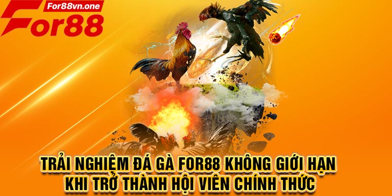 Trải nghiệm đá gà For88 không giới hạn khi trở thành hội viên chính thức